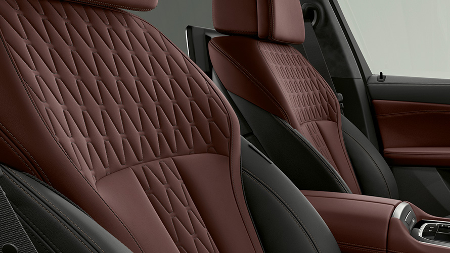 BMW Individual upholstery BMW X6 Individual G06 2019 close-up